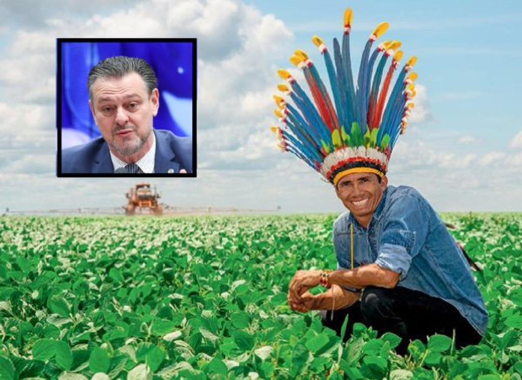 ibama-autoriza-povos-indigenas-de-mato-grosso-a-praticar-agricultura-mecanizada-e-plantar-soja-e-milho