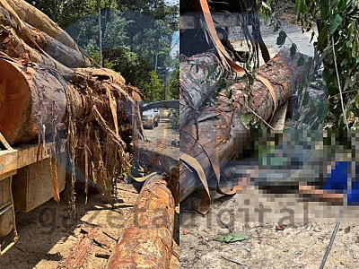 jovem-de-22-anos-morre-apos-ser-atingido-por-tora-de-madeira-em-colniza