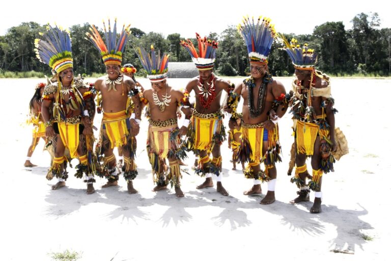 povos-indigenas-conquistam-licenca-inedita-do-ibama-para-agricultura-mecanizada-em-mato-grosso