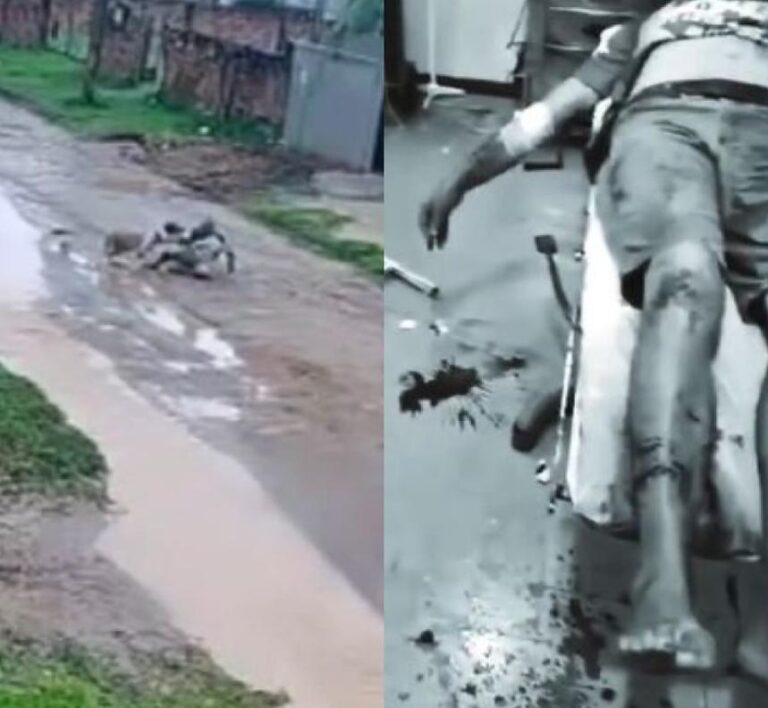 idoso-fica-gravemente-ferido-apos-ser-atacado-por-dois-caes-em-comodoro