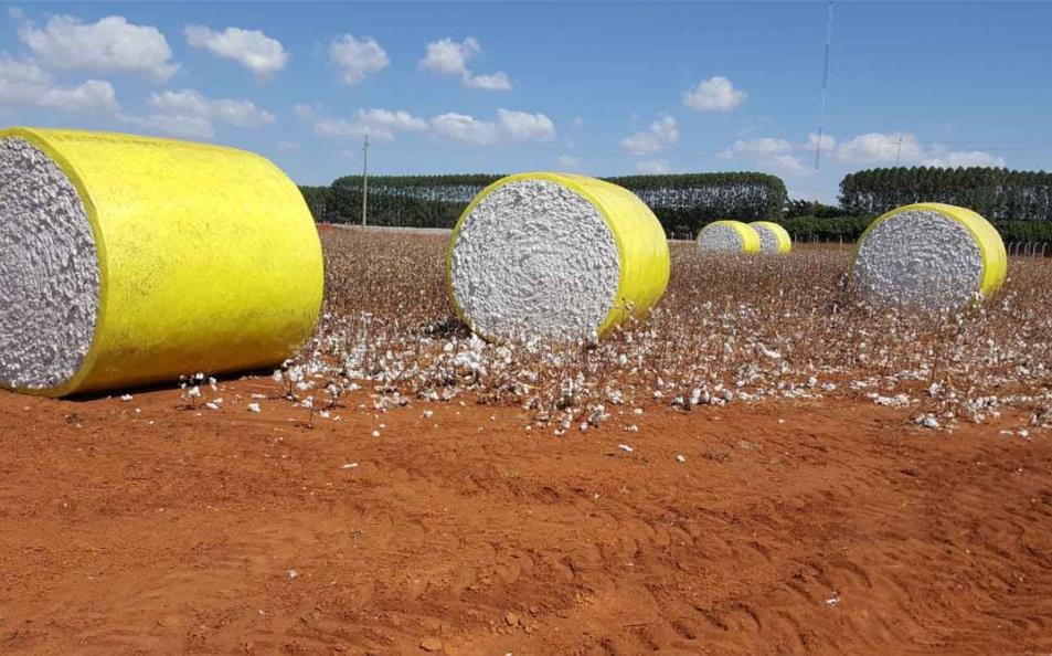 ministerio-publico-se-posiciona-contra-novos-pedidos-do-grupo-pupin-em-processo-de-recuperacao-judicial