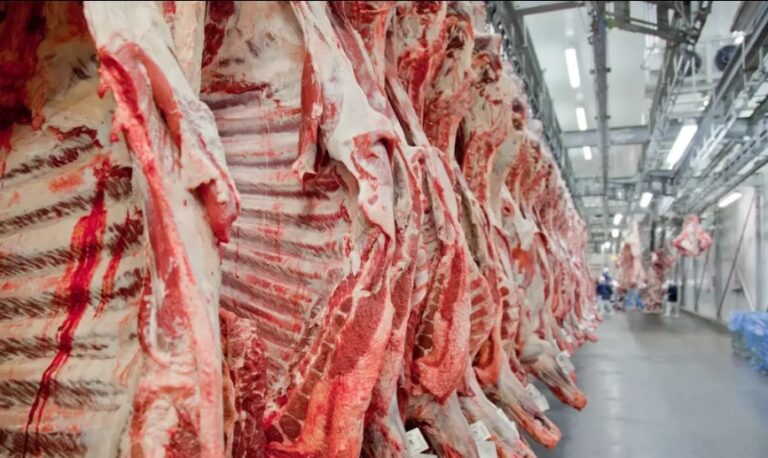 setor-agro-ve-alivio-apos-suspensao-de-sobretaxas-dos-eua-a-produtos-brasileiros