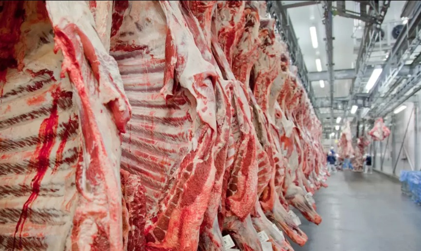 setor-agro-ve-alivio-apos-suspensao-de-sobretaxas-dos-eua-a-produtos-brasileiros