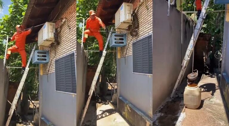 43c711a6071c85bc2b35983d0e6fedee-powermix-com-br