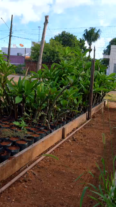 Captura de tela 2026-01-15 103748