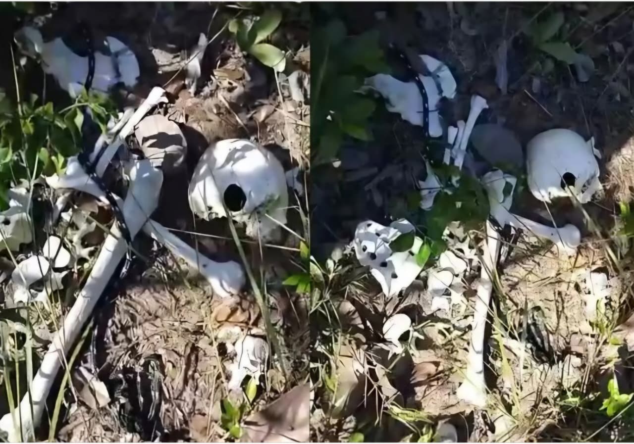 WhatsApp Image 2026-01-12 at 08.05.14