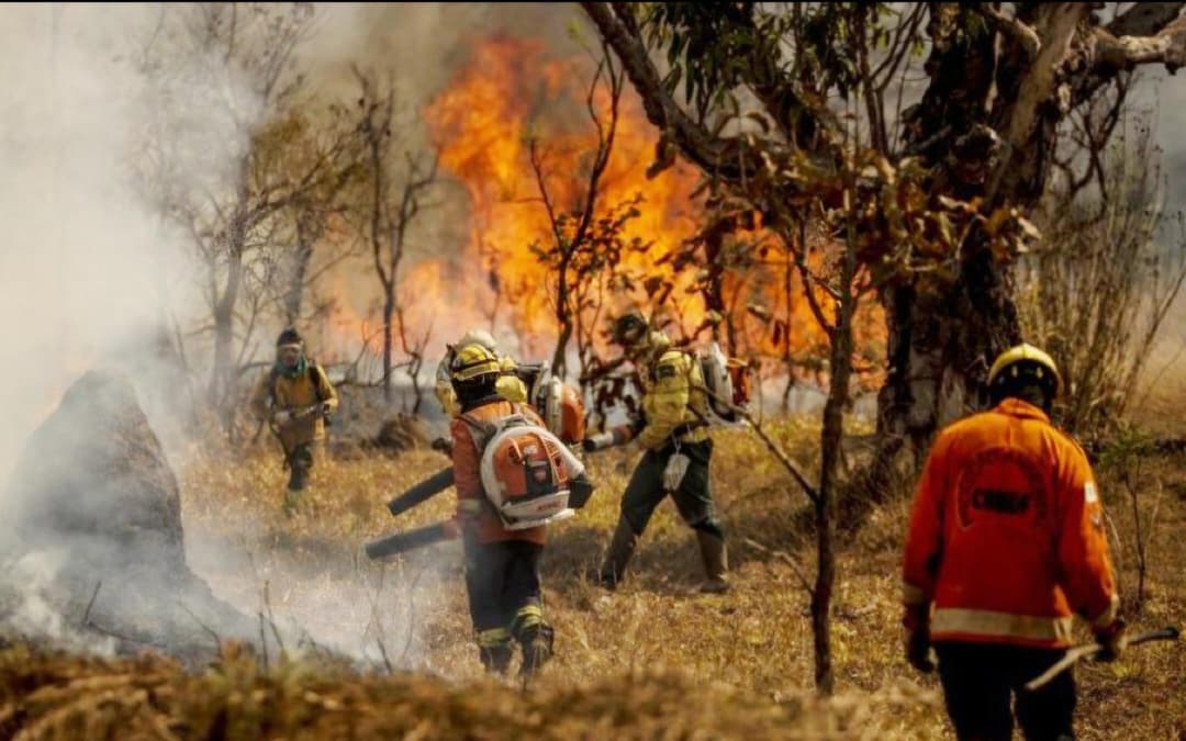 WhatsApp Image 2026-01-12 at 09.28.46