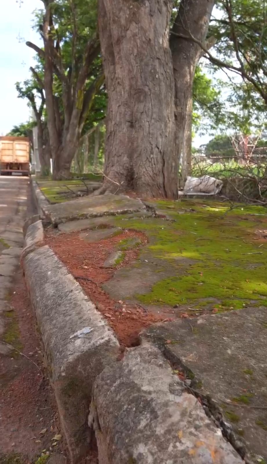 WhatsApp Image 2026-01-12 at 15.33.18