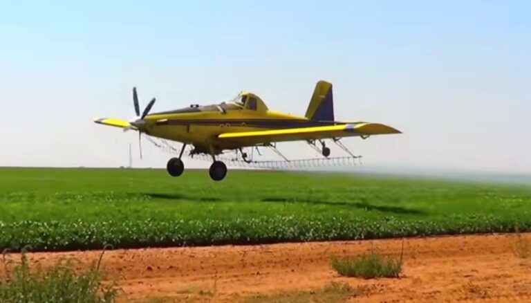 WhatsApp Image 2026-01-13 at 07.31.09