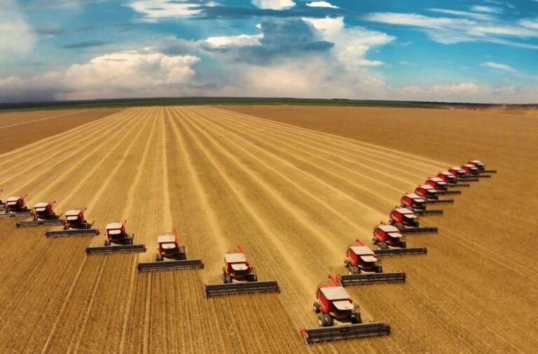 WhatsApp Image 2026-01-16 at 10.29.45