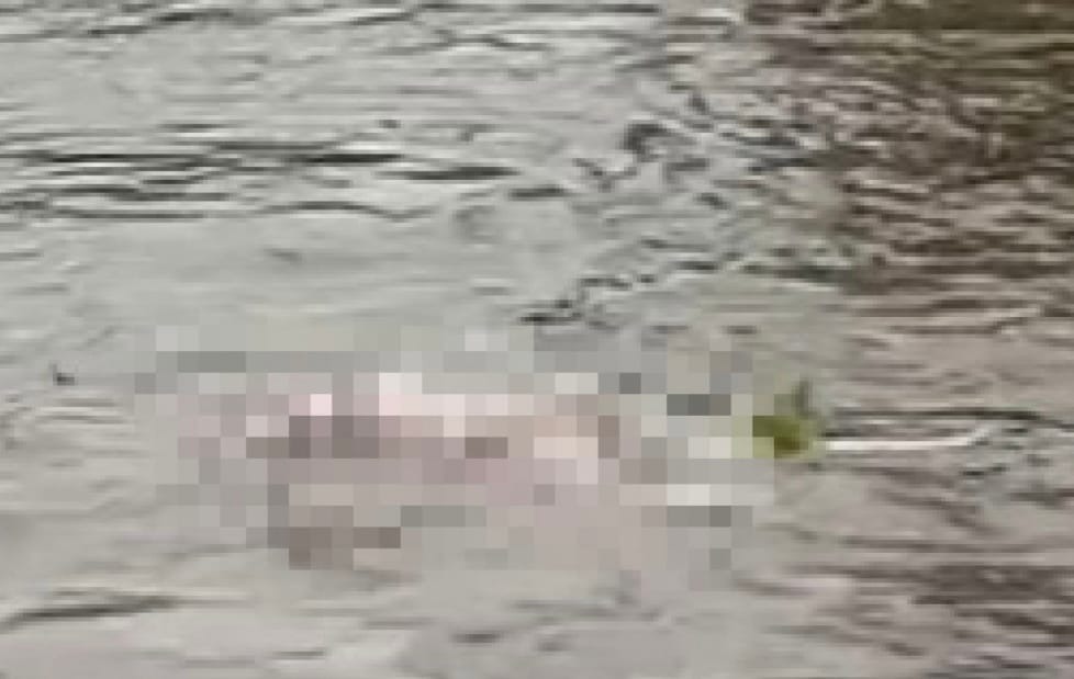 WhatsApp Image 2026-01-21 at 17.12.51