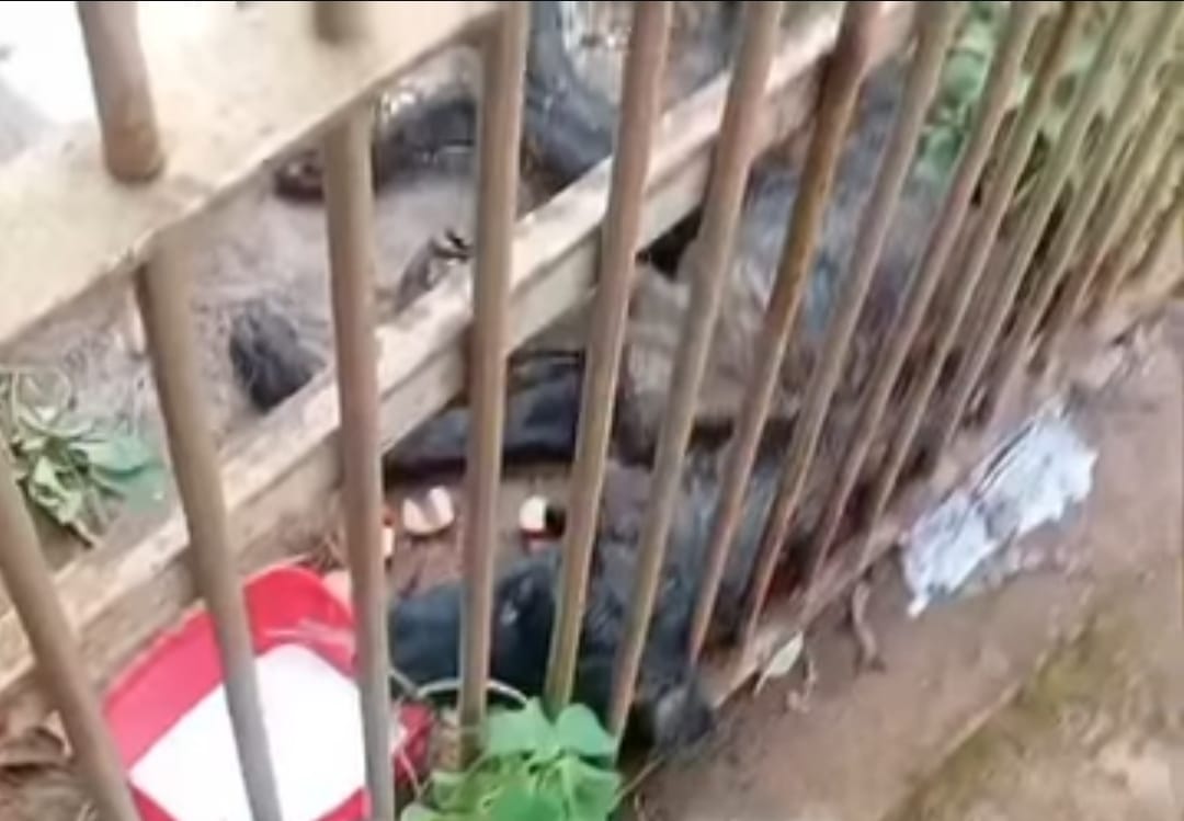 WhatsApp Image 2026-01-30 at 15.54.47