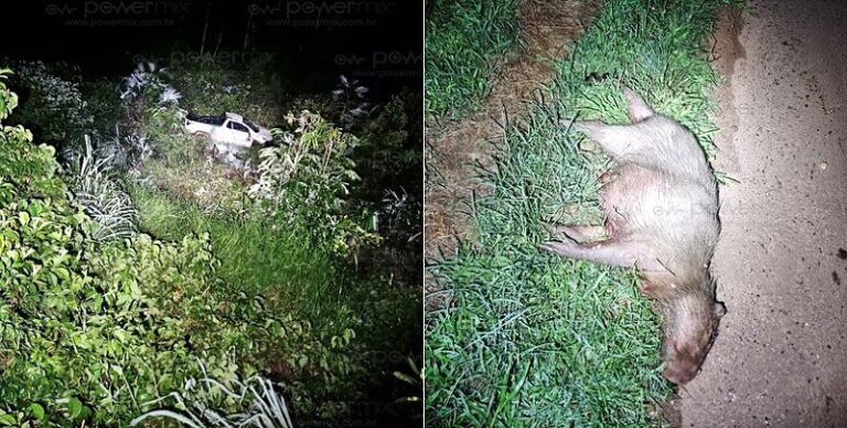 d84d5957e009b7cdc57c782b97e0748a-powermix-com-br