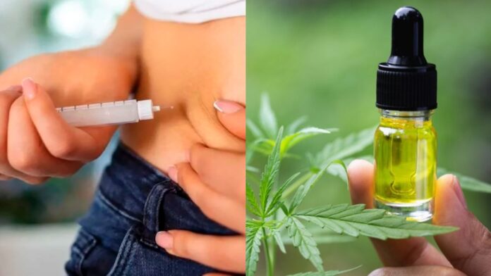 NORTAO-MT-DRT-4-1-696x392