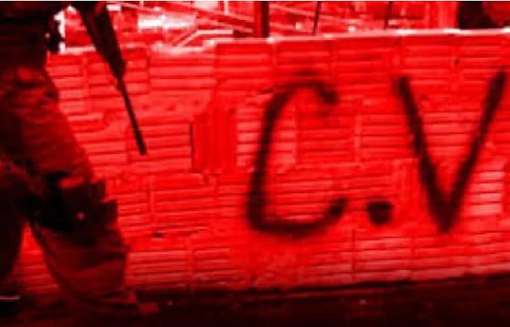 99244a8c729fa9e5e92373ff7497f6bd