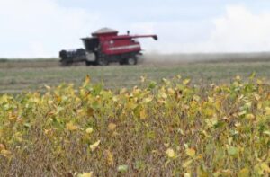 Colheita-de-soja-Foto-Bruno-Rezende-07-730x480-1-696x458