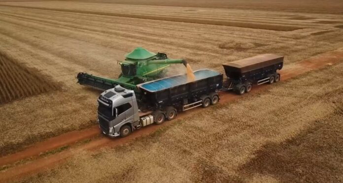 Sem-titulo-51-696x372