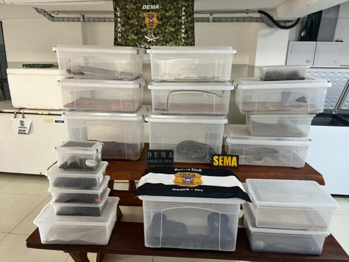 WhatsApp-Image-2026-03-23-at-14.28.49-696x522