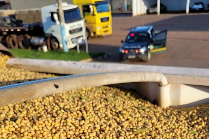 da726b28-operacao-safra-696x464