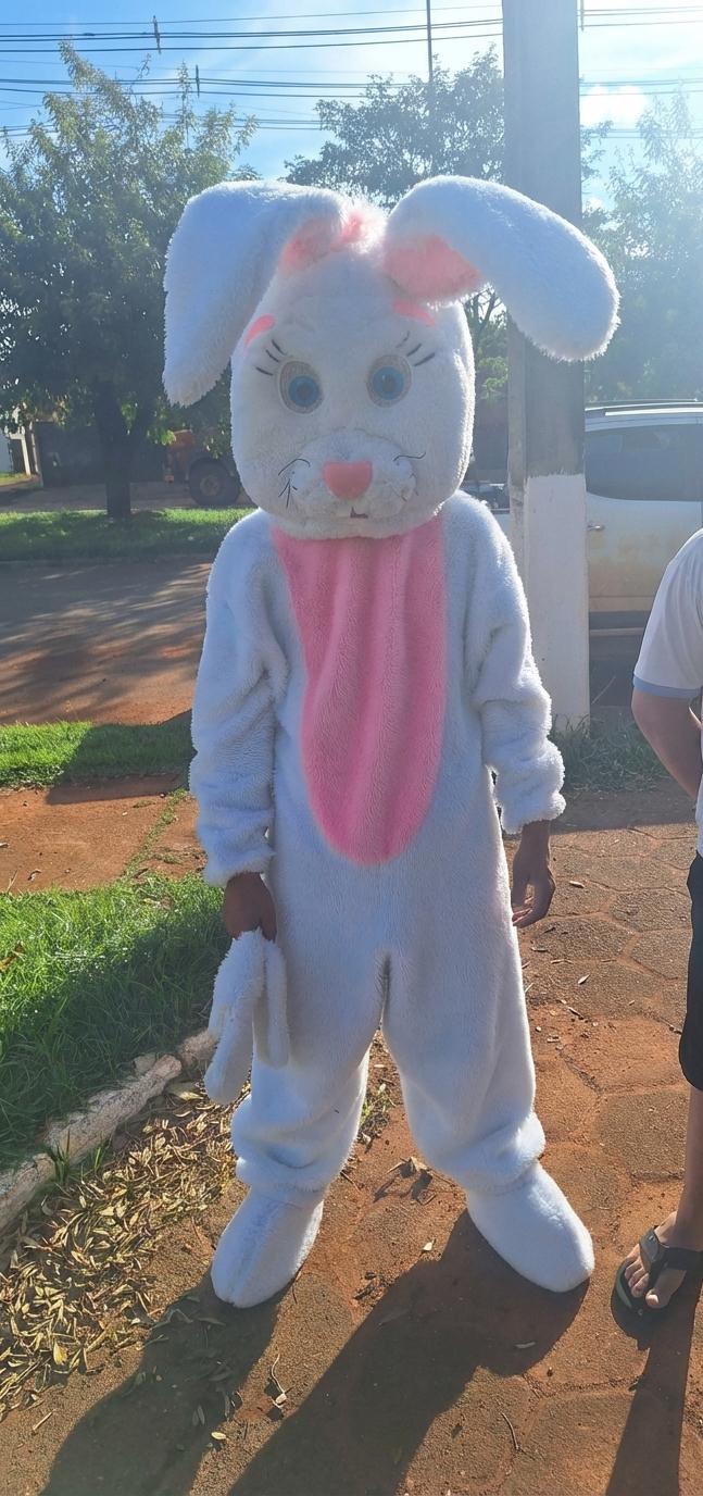 WhatsApp Image 2026-04-06 at 10.52.18