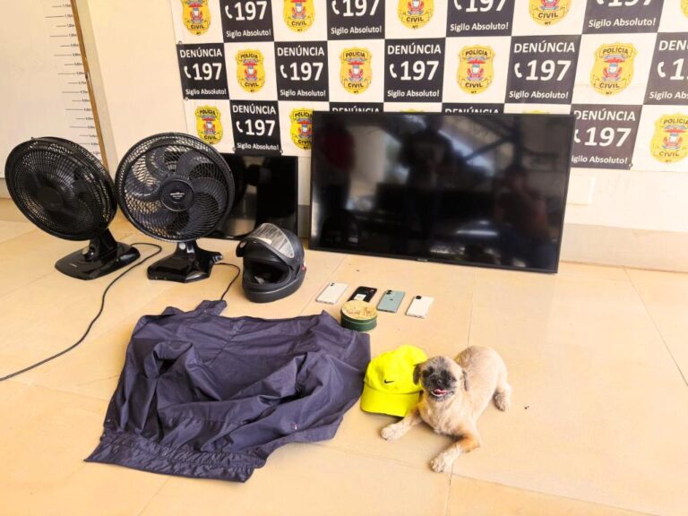 WhatsApp Image 2026-04-23 at 15.22.49