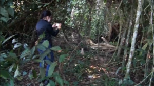 Captura de tela 2026-05-05 183611