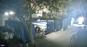 Captura de tela 2026-08-11 173901